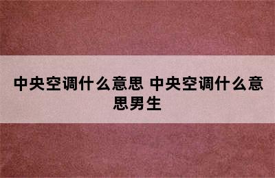 中央空调什么意思 中央空调什么意思男生